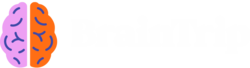 BrainTrip-logo-white